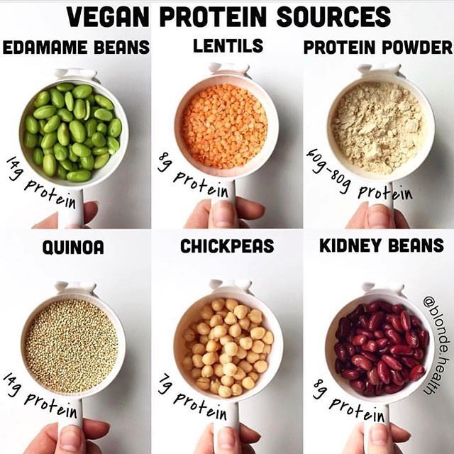 VEGAN PROTEIN . First thing you think of where do I get my protein ...